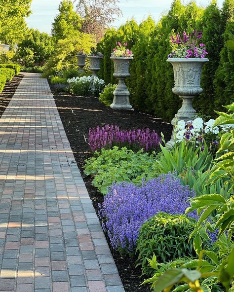 Garden Answer on Instagram: “Pink, purple and white! That’s the new theme for the west side garden and I’m thoroughly enjoying it. 💗💜💚” Garden Answer Laura Leboutillier, Garden Answer Laura, Formal Garden Design, Garden Answer, Side Yard Landscaping, Tuscan Landscaping, Landscape Inspiration, Front Garden Design, Potager Garden