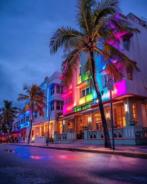 Miami Beach, Florida 🇺🇲 🌊🌴⛱️🏄‍♂️🌞 . . . 📸 @geoffrey.parry Miami Aesthetic, Gta Vice City, Miami Vibes, Miami Vacation, Miami City, Miami Travel, Miami Life, Beach Weekend, Vice City