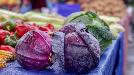 8 Impressive Benefits of Purple Cabbage Purple Cabbage Benefits Health, Red Cabbage Benefits Health, Purple Cabbage Juice Benefits, Benefits Of Red Cabbage, Cabbage Nutrition Facts, Cabbage Health Benefits, Cabbage Varieties, Cabbage Benefits, Cabbage Wraps