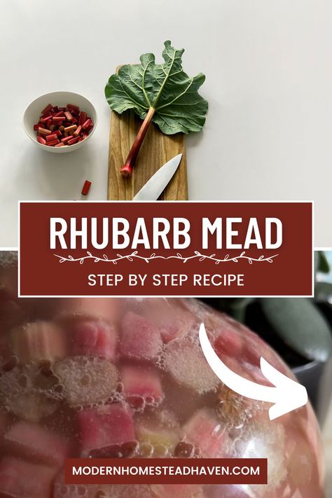 This super easy to follow recipe is perfect for beginners looking to make their first batch of mead. Or maybe you're a seasoned mead making pro and you're looking for flavor inspo! Either way, this natural & boozy (fermented) drink is the perfect addition to a sustainable life. Rhubarb Mead Recipe, Mead Recipes Homemade, Mead Recipes, Mead Making, Making Alcohol, Nordic Diet, Distilling Alcohol, Mead Wine, Mead Recipe