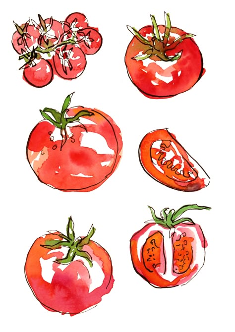 Tomato Painting Watercolors, Random Watercolor Art, Drawings Of Food Sketches, Objects To Draw Reference, Watercolour Food Painting, Cherry Tomato Illustration, Food Illustrations Watercolor, Sharpie And Watercolor Art, Watercolor Markers Art