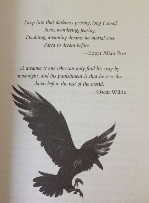 Raven Quotes, The Dream Thieves, Dream Thieves, The Raven Boys, Poe Quotes, The Raven Cycle, Raven Cycle, Allen Poe, Literature Quotes