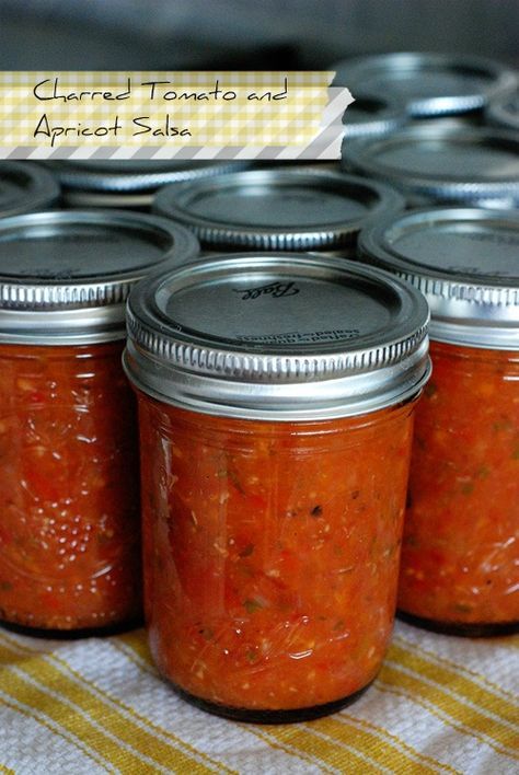 Apricot Salsa, Salsa Canning Recipes, Salsa And Guacamole, Summer Fruit Recipes, Simplified Home, Apricot Recipes, Golden Afternoon, Canned Goods, Jam And Jelly