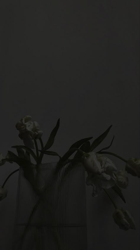 Mi Fit Band Wallpaper, Gothic Wallpaper, Vintage Flowers Wallpaper, Diy Jewelry Display, Love Wallpaper Backgrounds, Cute Black Wallpaper, Artsy Pictures, Band Wallpapers, Dark Paradise