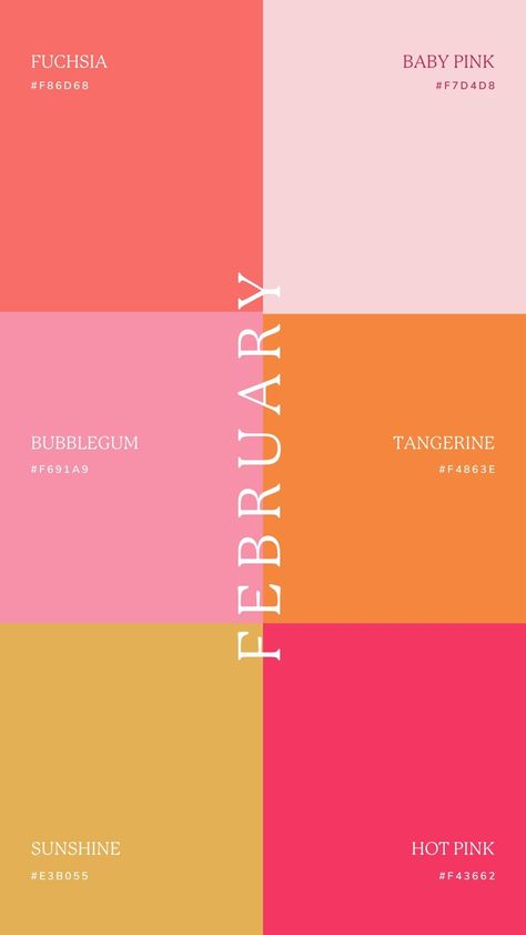 Fun Color Palette With Hex Codes, Neutral With Pop Of Color Palette, February Colors Palette, Beauty Colour Palette, Female Colour Palette, Self Love Color Palette, Colorful Pallete Aesthetic, 4 Color Pallete, Modern Pink Color Palette