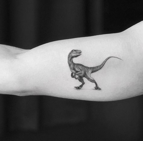 Shannon Hogarty (@_shannonymous_) • Instagram photos and videos Velociraptor Tattoo, Jurassic Park Tattoo, T Rex Tattoo, Dinosaur Tattoo, Animal Outline, Dinosaur Tattoos, Tattoo Trend, Meaningful Tattoos For Women, Tattoo Convention