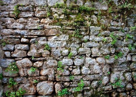 Amazon.com : BELECO 7x5ft Fabric Vintage Brick Stone Wall Backdrop for Photography Overgrown Wall Ancient Rock Wall Textured Background Medieval Castle Stone Wall for Party Decorations Studio Booth Photo Props : Electronics Castle Stone Wall, Castle Bricks, Brick Stone Wall, Stone Wall Backdrop, Studio Booth, Castle Stone, Faux Stone Walls, Castle Backdrop, Diy Photo Backdrop