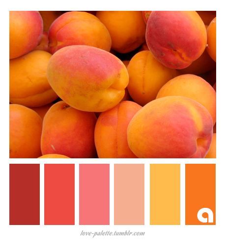 Peach Fruit Color Palette, Pinkish Orange Color, Peach And Orange Color Palettes, Pink Orange Pallete, Mango Colour Palette, Peachy Colour Palette, Yummy Color Palette, Peach And Yellow Color Palette, Peach Orange Color Palette