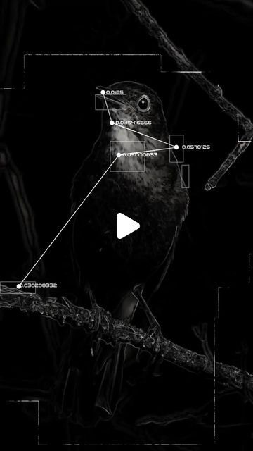 Creative Code Art on Instagram: "Week 47 Prompt “Spring” by @nullity.xyz ・・・ c h i r p s _ 0 0 4 . . @creativecodeart Week 57 Prompt: “Spring” . . #wavininthevoid #birdsinging #bird #nightingale #touchdesigner #generativeart #audioreactive #audiovisual #creativecoding #newmediaart #generative #newmedia #codeart #audioreactive #realtime #creativecodeart #abstractart #mediaart #generativedesign #audiovisual #visuals #noise #interactiveart #motiongraphics #abstract #motiondesign #procedural #creativecodeart #new_media_art #xuxoe" Touch Designer Generative Art, Touchdesigner Art, Coding Art, Touch Designer, Graphic Design Mockup, 3d Room, After Effect, Generative Design, New Media Art