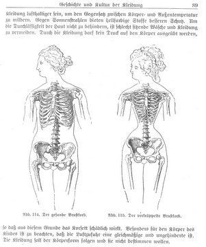 german_corset Extreme Corset, Textiles Projects, Vintage Corset, The Question, Corsets, Evolution, The First, Womens Sizes, Humanoid Sketch