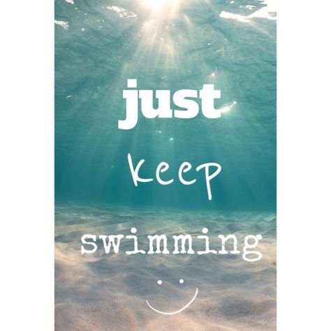 Just Keep Swimming Quote, Swimming Quotes Funny, Swimming Motivational Quotes, Swimming Videos, Swimming Tattoo, Swimming Funny, Swimming Photography, Swimming Motivation, Swimming Memes