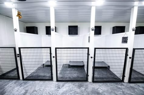 Luxury Dog Boarding Kennels, Dog Kennel Basement, Commercial Dog Kennel Designs, Rustic Dog Grooming Salon Ideas, Diy Dog Kennels Indoor, Kennel Business Ideas, Home Dog Kennel Ideas, Luxury Dog Grooming Salons, Shipping Container Dog Kennel