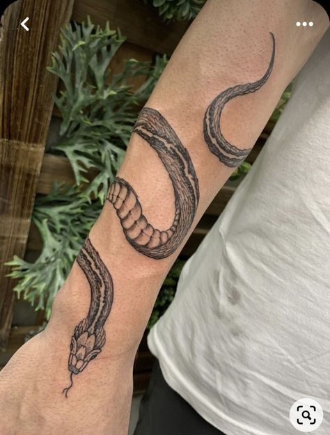 Men’s Snake Arm Tattoo, Snake Tattoo On Hand Men, Snake Tattoo Down Arm, Snake In Arm Tattoo, Snake Around Forearm Tattoo, Snake Around Arm Tattoo Men, Underarm Snake Tattoo, Mens Snake Tattoo Arm, Men’s Snake Tattoo On Arm