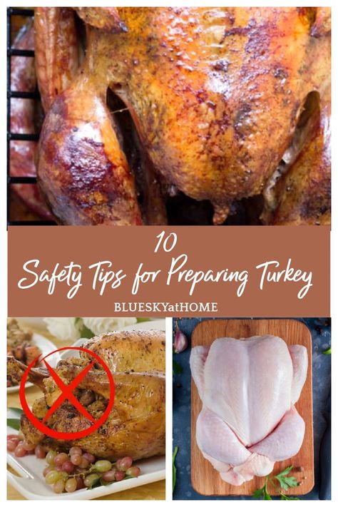 10 Safety Tips for Preparing Turkey You Should Know. Tips for keeping your Thanksgiving turkey preparation clean and sanitized. Steps to protecting your kitchen from contamination. Turkey Preparation, Preparing Turkey, Kitchen Safety Tips, Thanksgiving Recipe Ideas, Food Safety Tips, Kitchen Safety, Thanksgiving Recipe, Delicious Thanksgiving, Thanksgiving Meal