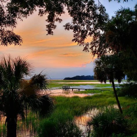 Down South Aesthetic, Beaufort South Carolina Aesthetic, Lowcountry Aesthetic, South Aesthetic, South Carolina Aesthetic, Florida Scenery, Carolina Aesthetic, Southern Aesthetic, Beaufort South Carolina