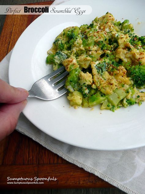 Perfect Broccoli Scrambled Eggs ~ Sumptuous Spoonfuls #quick #healthy #delicious #breakfast #recipe Perfect Broccoli, Low Cholesterol Recipes Dinner, Outdoor Cooking Recipes, Scrambled Eggs Recipe, Low Cholesterol Diet, Mexican Breakfast Recipes, Low Cholesterol Recipes, Gluten Free Egg Free, Eggs Recipe