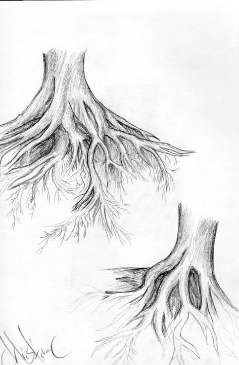 ArtStation - Tree Roots , Christina Cavanaugh Tree Roots Drawing, Tree With Roots Drawing, Trees Art Drawing, Drawing In Circle, Roots Drawing, Tattoo Main, Tree Drawings, Tree Drawings Pencil, Tree Root