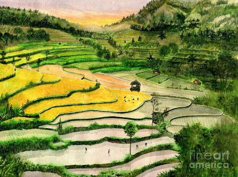 Bali Watercolor, Adobe Photoshop Design, China Art, Green Landscape, Paintings Art Prints, Colorful Landscape, Painting Style, Travel Art, Acrylic Prints