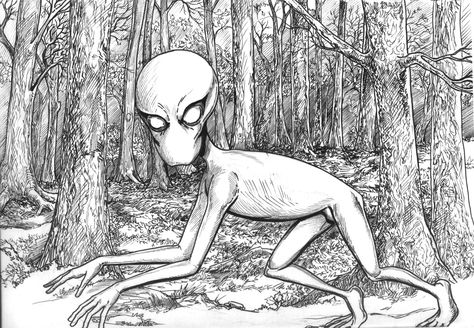 Dover Demon- Alien Cryptid: in Dover Massachusetts, on April 21, 1977, a strange creature was seen by multiple people. It had a melon head and long thing legs and arms. The first account said it had orange eyes, while the second said it had green eyes. This important difference in description has people doubting it. Thought to actually be a new born moose. No conclusive evidence exists on this creature. Scary Legends, Dover Demon, Cryptids Creatures, Folklore Legends, Welcome To Earth, Legendary Monsters, American Mythology, Mystical Creature, Black Beast