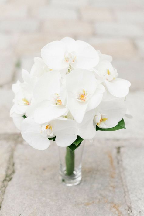 White Orchid Bouquet, Orchid Bridal Bouquets, Orchid Bouquet Wedding, Bouquet Photography, Cascading Wedding Bouquets, Orchid Bouquet, Lily Wedding, Orchid Wedding, White Bridal Bouquet