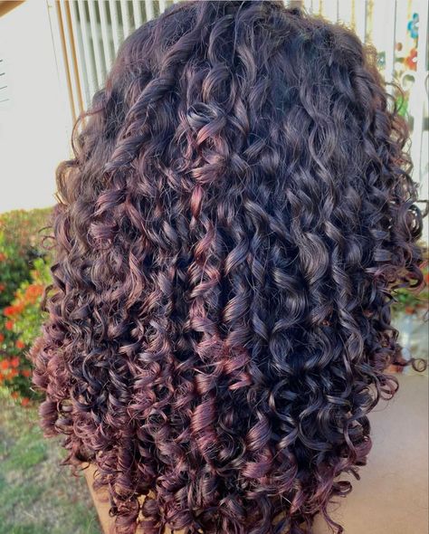 Red Violet Curly Hair, Died Hairstyles Hair Dye Curly, Unique Curly Hair Color, Pink Highlights In Brown Curly Hair, Cherry Red Hair Highlights, Hair Colour Curly Hair, Deep Red Curly Hair, Purple Highlights Curly Hair, Brown Cherry Hair