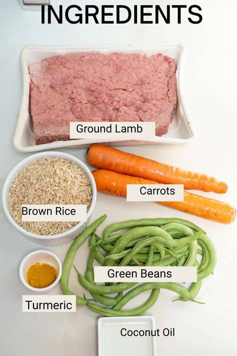 Pork Dog Food Recipes, Healthy Dog Food Add Ins, Lamb Dog Food Recipes, Ground Lamb Recipes For Dogs, Dog Dinner Recipes, Fresh Dog Food Recipes, Homemade Lamb Dog Food Recipes, Salmon Dog Food Recipes, Diy Farmers Dog Food