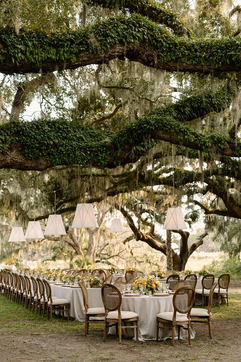 Fall Charleston wedding inspired by Tuscany - 100 Layer Cake Backyard Marsh Wedding, Earthy And Organic Wedding Style, Natural Wedding Venues, Low Country Wedding South Carolina, Runnymede Wedding, Guest List For Wedding, Charleston Wedding Reception, Charleston South Carolina Wedding, Southern Charm Wedding