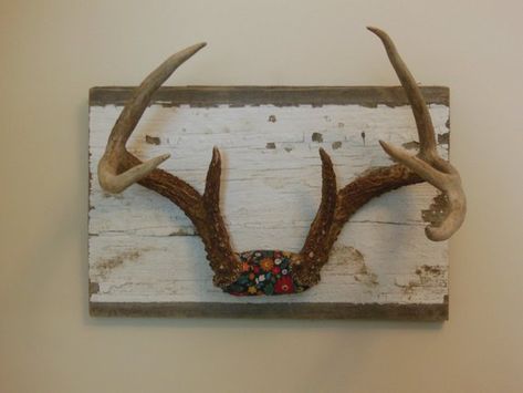 Hanging Deer Antlers, Antlers Decor Diy, Deer Antler Display, Display Scarves, Antler Display, Deer Head Decor, Antler Ideas, Antler Mount, Antler Decor