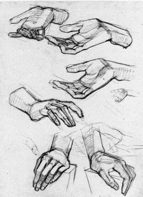 Sketches Of Hands, Hand Drawing Ideas, Ako Kresliť, Hand References, Easy Drawing Ideas, Human Anatomy Drawing, Human Figure Drawing, Hand Drawing Reference, Human Anatomy Art