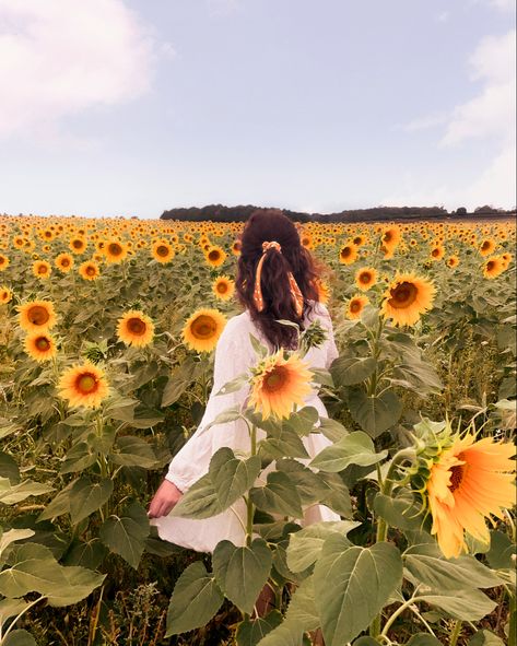 Sunflower field summer aesthetic white dress Pictures With Sunflowers, Aesthetic White Dress, Sunflower Field Pictures, Single Summer, Summer Senior Pictures, Sunflower Patch, Engagement Photos Country, Summer Picture Poses, Sunflower Photo