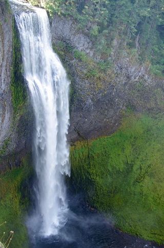 Oregon Trail Map, Oregon Hikes, Oregon Vacation, Oregon Waterfalls, Multnomah Falls, Hiking Dogs, Oregon Trail, Hiking With Kids, Forest Road