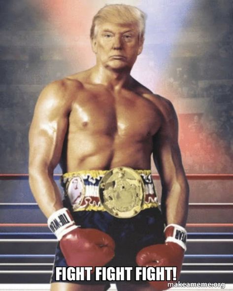 #maga #donaldtrump #fightfightfight #rocky #trumpvance2024 #fanboy Rocky Pictures, Funny Boxer, Rocky Balboa, Sylvester Stallone, Chuck Norris, Anger Management, Balboa, Us Presidents, Caricatures