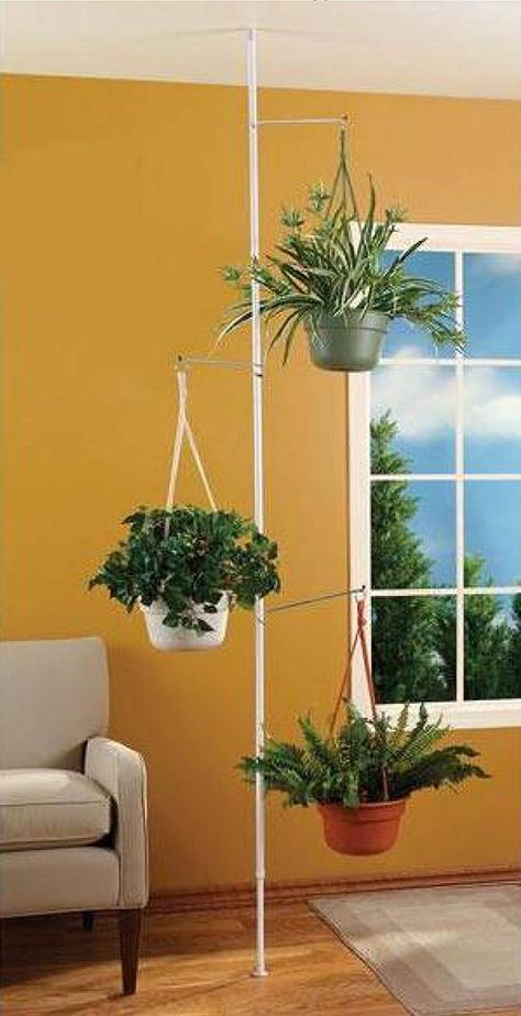 AmazonSmile : SPRING TENSION ROD INDOOR PLANT POLE WITH 3 ADJUSTABLE ARMS : Plant Stands : Gateway Plant Pole, Plant Holders Indoor, Pole Stand, Plant Stands Outdoor, Hanging Plant Holder, Hanging Plants Indoor, Diy Plant Hanger, Meteor Garden 2018, Tension Rod