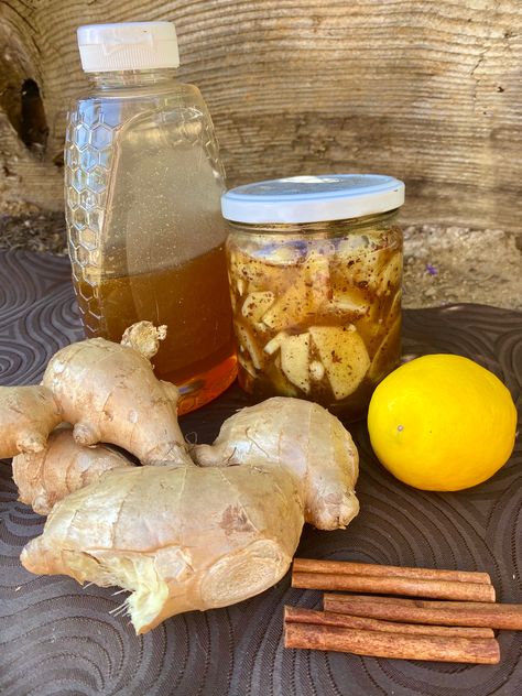 Healing Lemon, Ginger, Cinnamon & Honey Elixir Ginger Cinnamon Tea, Ginger Lemon Honey Tea, Recipe With Ginger, Honey And Lemon Drink, Cough Syrup Recipe, Elixir Recipe, Cinnamon Drink, Ginger Honey Lemon, Ginger Tea Recipe