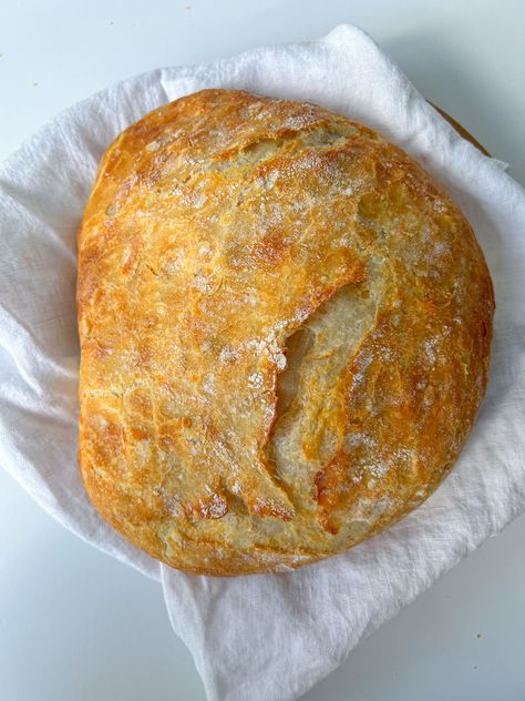 No Knead Cheddar Bread Easy Breads, The Modern Nonna, Modern Nonna, Cheddar Bread, Peasant Bread, Baked Breads, Bread Dishes, Knead Bread Recipe, Knead Bread