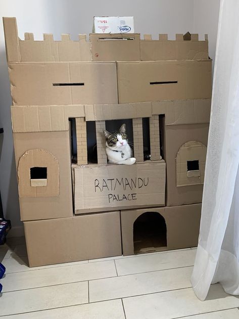 30 Times People Built Their Cats A Cardboard Fort And It's An Ecological Solution To Where To Put All The Boxes Cardboard Forts, Cat Playhouse, Cardboard Cat House, Cat Castle, Cat House Diy, Cat Condo, Cat Tower, Cat Room, Cat Diy