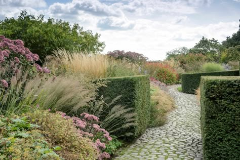 Gardens to visit in August Yew Topiary, Berberis Thunbergii, Topiary Balls, Beech Hedge, August Garden, Fatsia Japonica, August Flowers, Back Of House, Piet Oudolf