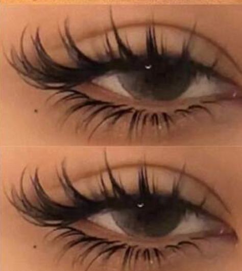 Eye Lash Extensions Ideas, Eyeliner Lash Extensions, Eyeliner With Lash Extensions, Lashes Extensions Styles, Almond Eye Lash Extensions, Lash Inspo Eyelash Extensions, Lash Extensions Ideas, Pretty Eyelashes, Lashes Aesthetic