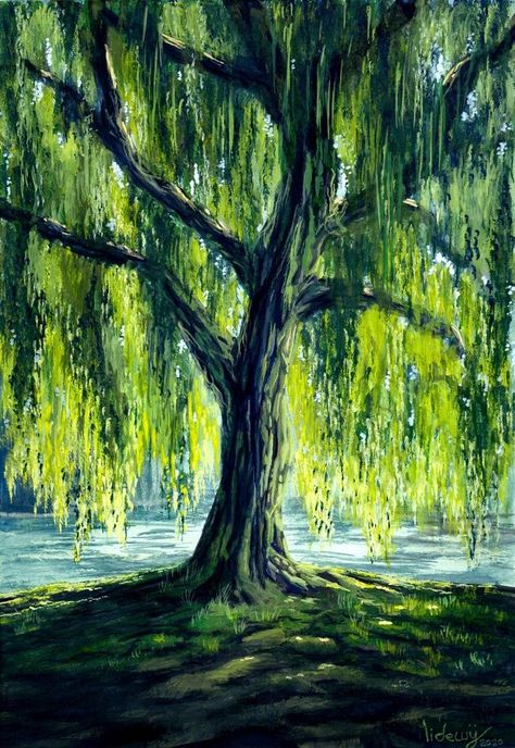 Willow Tree Oil Painting, Willow Tree Painting, Spring Tree Art, Whimsical Tree, Weeping Willow Tree, Coloring Tips, Spring Tree, Weeping Willow, Painting Inspo