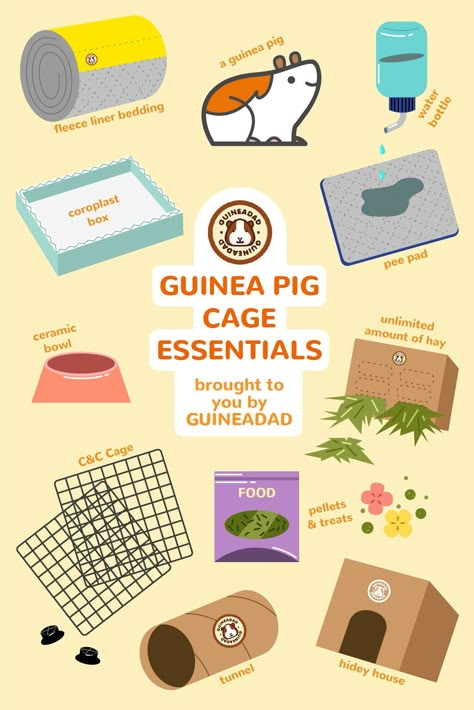 Gunie Pigs Cages, Guenia Pigs Cages Diy, Gunia Pig Cage Ideas, Small Guinea Pig Cage Ideas, Guine Pig Cage Ideas, Guine Pig Cage, Guinea Pig Checklist, Ginny Pigs Cages, C And C Guinea Pig Cage