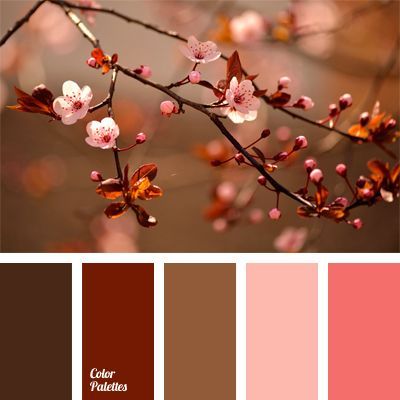 Color Concept, Color Schemes Colour Palettes, Color Palate, Design Seeds, Color Balance, Trik Fotografi, New Wall, Bedroom Colors, Colour Schemes