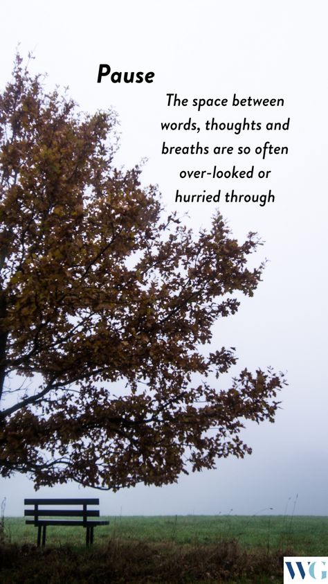 Practicing a pause in your ordinary life can train your brain & body to rest, recoup & respond with the next right thing. Pause between one phone conversation to the next. Get up, move about, and notice what’s right in front of you. Use an app like One Minute Pause or A Simple Pause to plan your pauses in your day. #pause #takeabreak #breakinmyday #reflection #spiritualpractice #spiritualdiscipline #christianspirituality #christianity #god #nextrightthing #spiritualprinciple #walkingingrace Pause And Reflect Quotes, Healing Habits, Jeremiah 29 12, Psalm 37 7, The Next Right Thing, Next Right Thing, Phone Conversation, Christian Thoughts, Romanticized Life