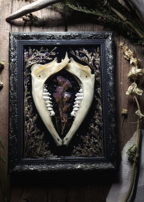 Jawbone and Floral Frame | Darling Dead Adornment Purple Wildflowers, Dopamine Decor, Wonders Of Nature, Bone Art, Jaw Bone, Hanging Frames, Floral Frame, Vintage Walls, Wild Flowers