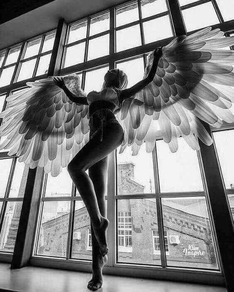 Photographic Evidence | Facebook Photo Glamour, Angel Photography, Angel Warrior, Ange Demon, 사진 촬영 포즈, Foto Poses, Angel And Devil, Angel Pictures, Foto Art