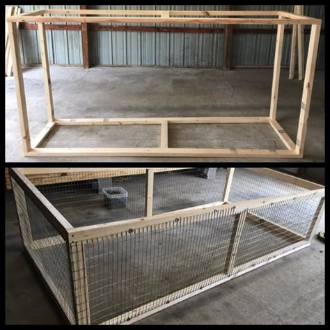 Farm Construction Project: Chicken Breeding Pens | Forged Mettle Farm Breeding Chickens Pens, Breeding Pens For Chickens, Grow Out Pens For Chicks, Chicken Cage Ideas Design, Chicken Grow Out Pen, Chicken Breeding Pens Ideas, Chicken Coop In Garden, Poultry Breeding Pens, Chicken Breeding Pens