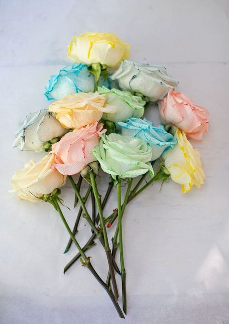 DIY: rainbow dyed flowers Dyed Flowers, Dye Flowers, Diy Rainbow, Rainbow Roses, Modern Diy, Rainbow Flowers, Pretty Pastel, Flowers Nature, Pastel Rainbow