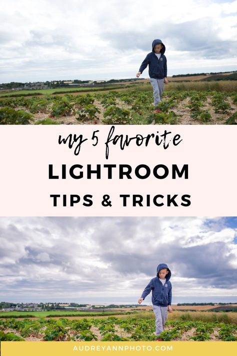 Lightroom For Beginners, Lightroom Tips Photo Editing, Lightroom Classic Tutorial, Lightroom Beginner, Lightroom Hacks, Lightroom Tips And Tricks, Free Photography Courses, Lightroom Tricks, Editing In Lightroom