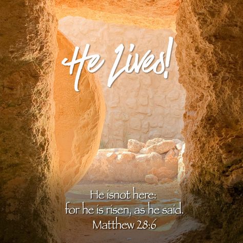 He Is Risen Easter Images, He Lives, He’s Risen, He Is Not Here For He Has Risen Quotes, Jesus Has Risen Easter, He Is Risen Easter, He Has Risen Wallpaper Iphone, He Is Risen Wallpaper Iphone, He Is Risen Facebook Cover Photos