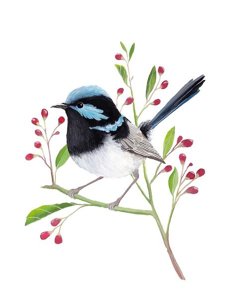 Blue Wren by PRINTSPIRING Blue Wren Tattoo, Fairy Wren Tattoo, Wren Drawing, Blue Wren Drawing, Blue Fairy Wren Tattoo, Pintura A Guache, Fairy Wren Drawing, Bird Mosaics, Superb Fairy Wren Drawing