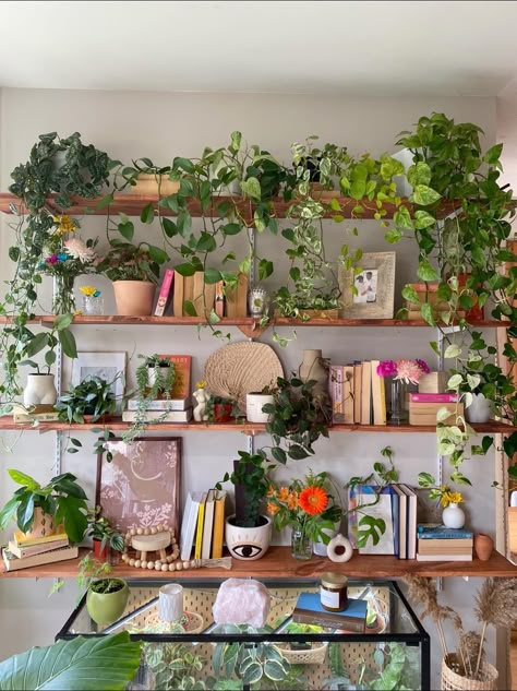 Plant Shelf Ideas, Plant Bathroom, Plants And Books, Indoor Plant Display, Indoor Plant Shelves, Plant Display Ideas, Indoor Plant Wall, Window Plants, Deco Nature